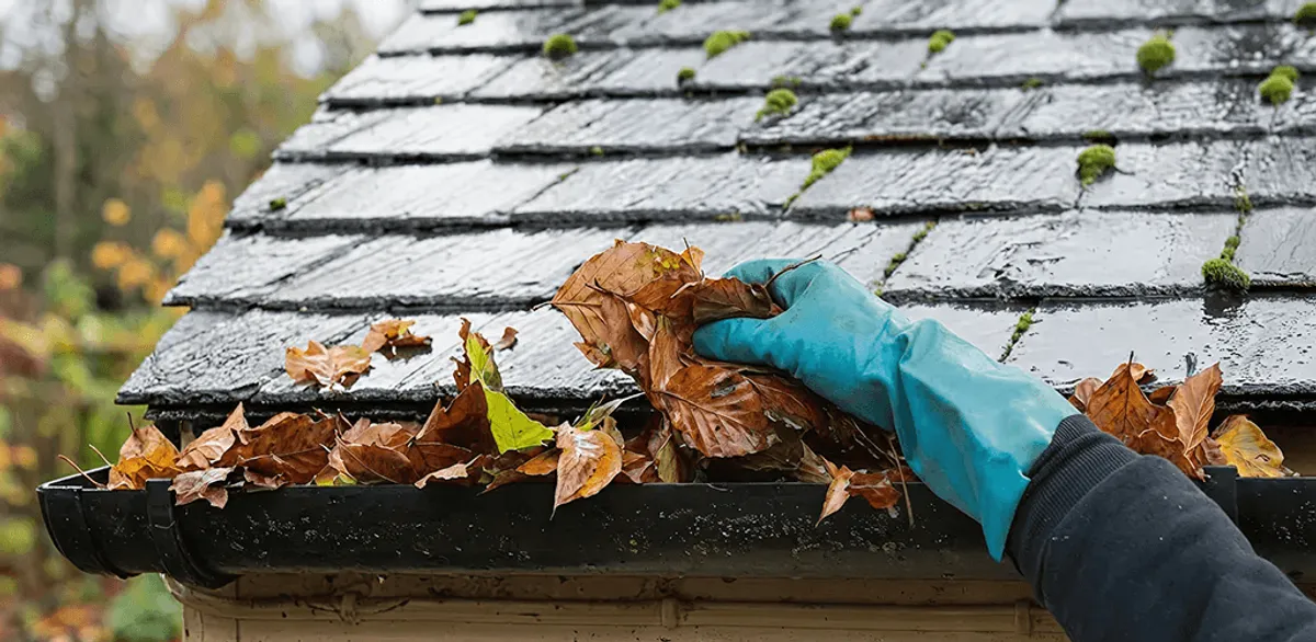 Gutter cleaning technician clearing wet leaves from roof gutters in Gilbert, AZ